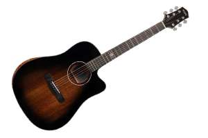 Изображение Акустическая гитара Aion F20