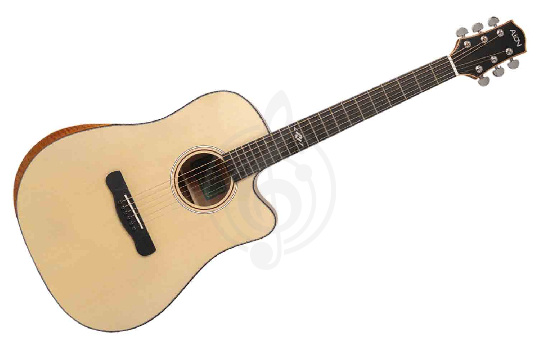 Акустическая гитара Aion Q20M - Акустическая гитара - фото 1