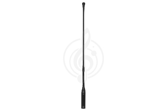 AKG CGN99 C/L - Микрофон для конференций - фото 1 Микрофон для конференций AKG CGN99 C/L - Микрофон для конференций - фото 1