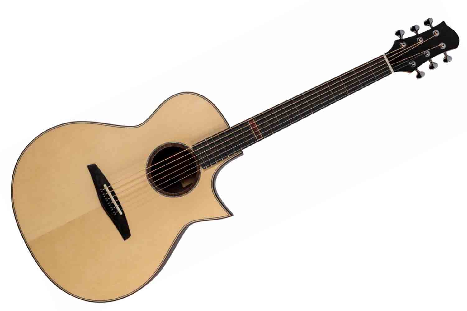 Акустическая гитара ALTAMIRA MPro-1 - Акустическая гитара - фото 1
