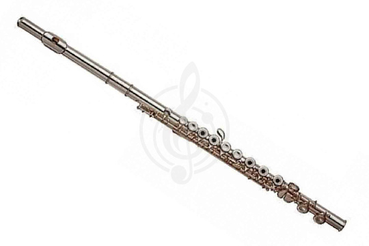 Альтовая флейта Amati AFL234-OT - Флейта С - фото 1
