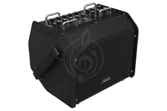AROMA AG-80A - Комбоусилитель для акустической гитары, портативный, 80 Вт - фото 1 Комбоусилитель для акустической гитары AROMA AG-80A - Комбоусилитель для акустической гитары, портативный, 80 Вт - фото 1