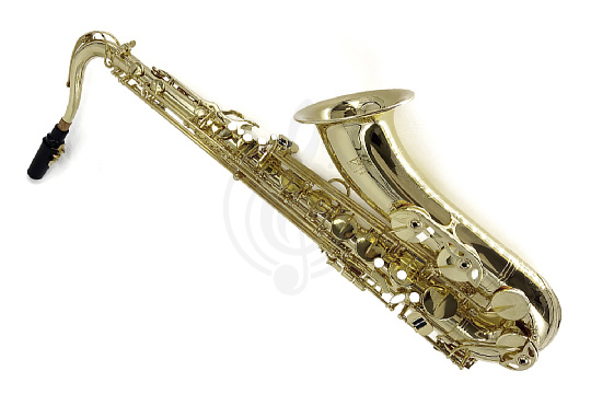 Artist TS-100L - Саксофон тенор - фото 1 Саксофон тенор Artist TS-100L - Саксофон тенор - фото 1