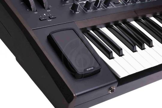 Аналоговый синтезатор Arturia PolyBrute Noir - Аналоговый синтезатор - фото 2