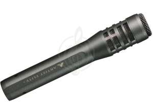 Изображение AUDIO-TECHNICA AE5100