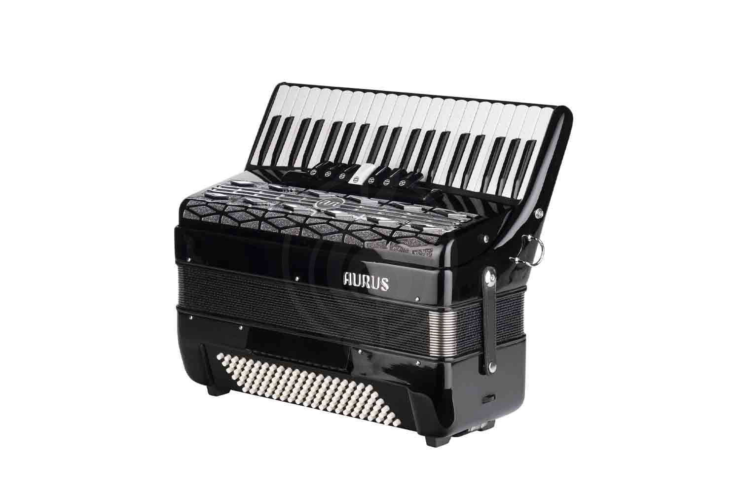 Аккордеон 4/4 Aurus JH2008-B - Аккордеон - фото 3