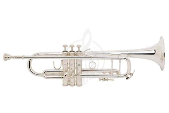 BACH LT180S72 Stradivarius Bb - Труба - фото 1 Труба BACH LT180S72 Stradivarius Bb - Труба - фото 1