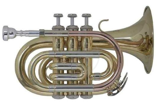 BACH PT-650 - Труба-мини Bb - фото 1 Труба BACH PT-650 - Труба-мини Bb - фото 1
