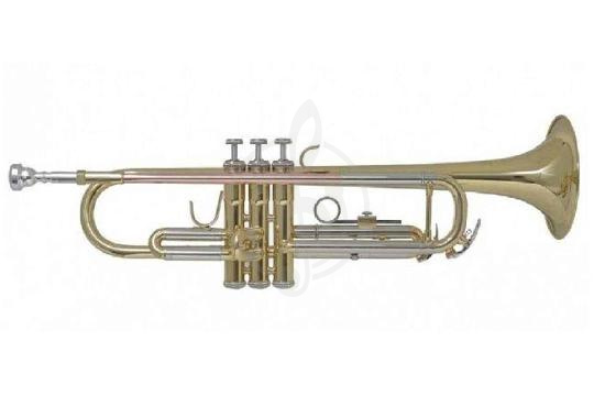 BACH TR-655 - Труба Bb - фото 1 Труба BACH TR-655 - Труба Bb - фото 1