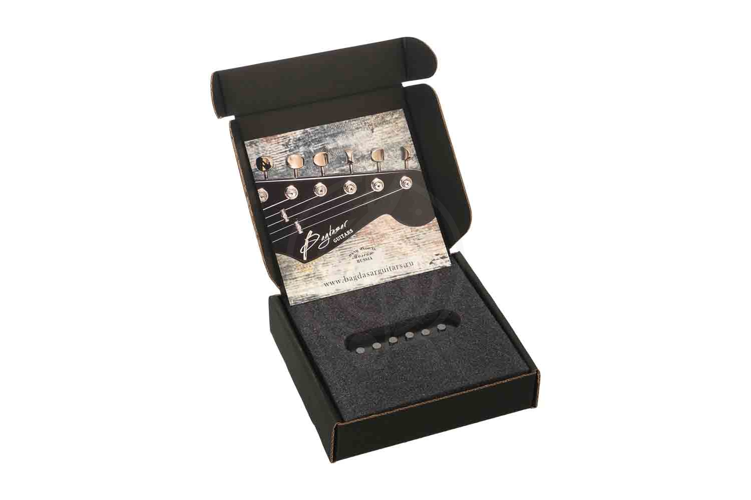 Звукосниматель для электрогитары Bagdasar guitars BGP401M True Vintage Stratocaster - Звукосниматель магнитный - фото 6