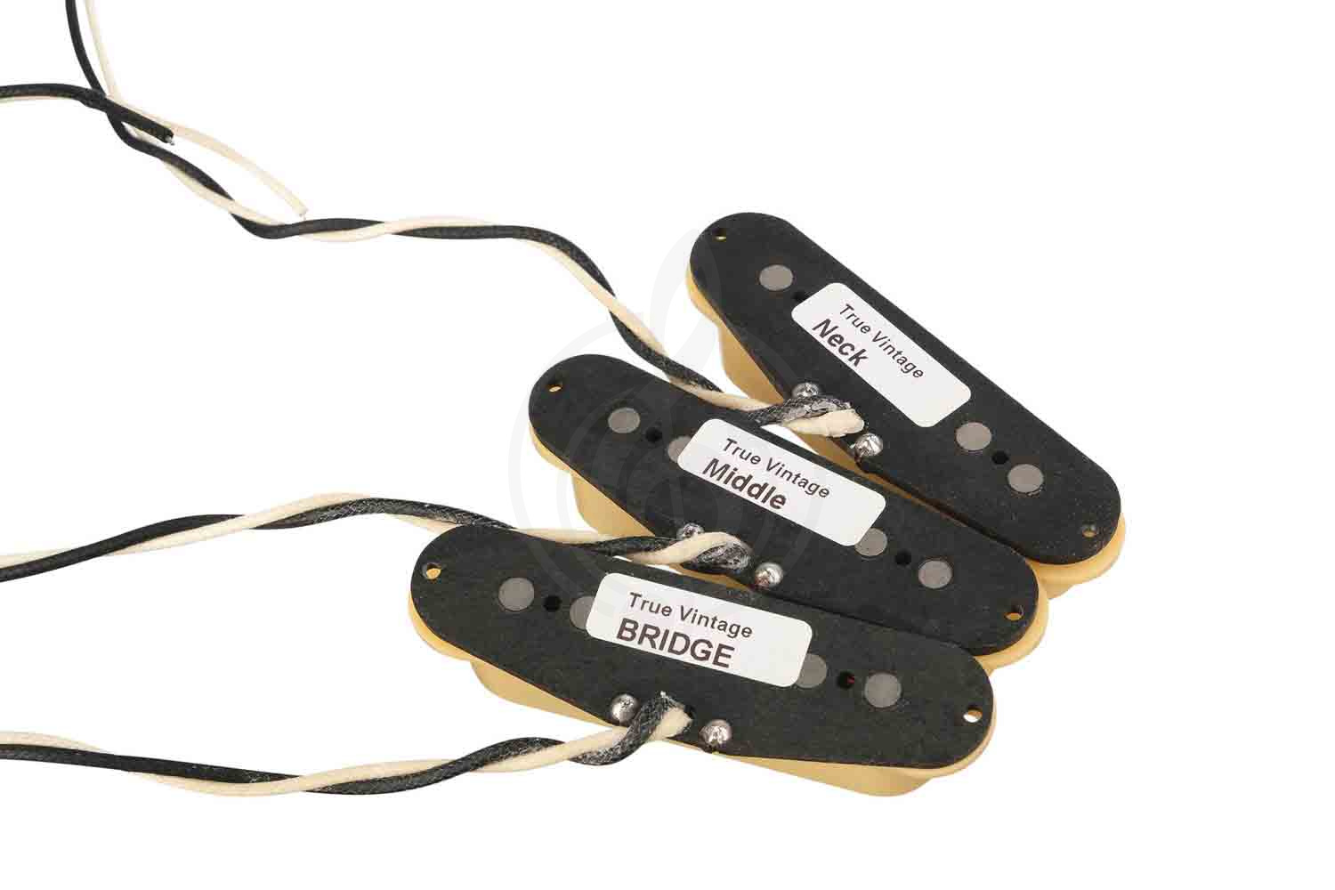 Звукосниматель для электрогитары Bagdasar guitars BGP401SBE True Vintage Stratocaster - Комплект звукоснимателей - фото 6