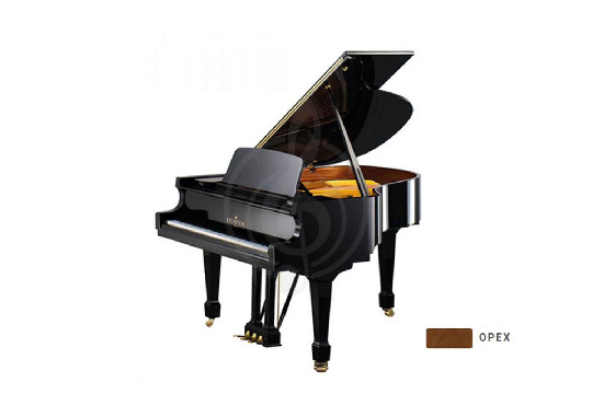 Bechstein B 175 WAP - Рояль акустический орех, полированный - фото 1 Акустический рояль Bechstein B 175 WAP - Рояль акустический орех, полированный - фото 1