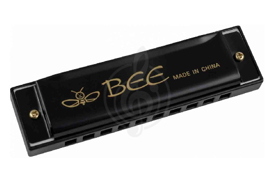 Диатоническая губная гармошка BEE DF10A-1 BLACK - Диатоническая губная гармошка - фото 1
