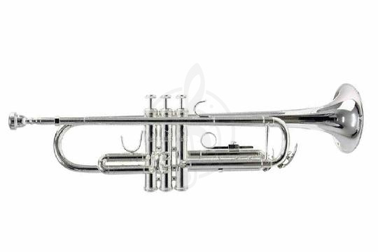 Труба BOSTON СTR-245S - Труба C - фото 1