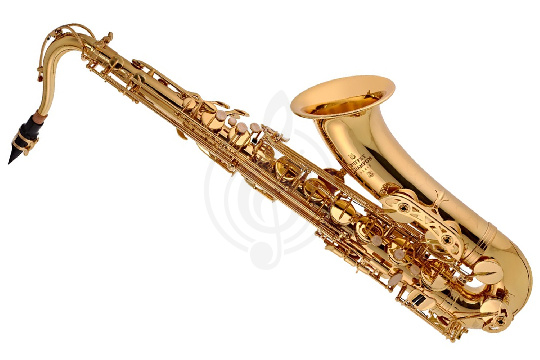 Саксофон тенор Buffet Crampon Student 100 Series BC8102-1-0 - Саксофон тенор - фото 1