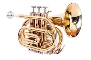 Изображение Conductor FLT-PT-L
