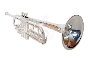Изображение Conductor FLT-TR-3S