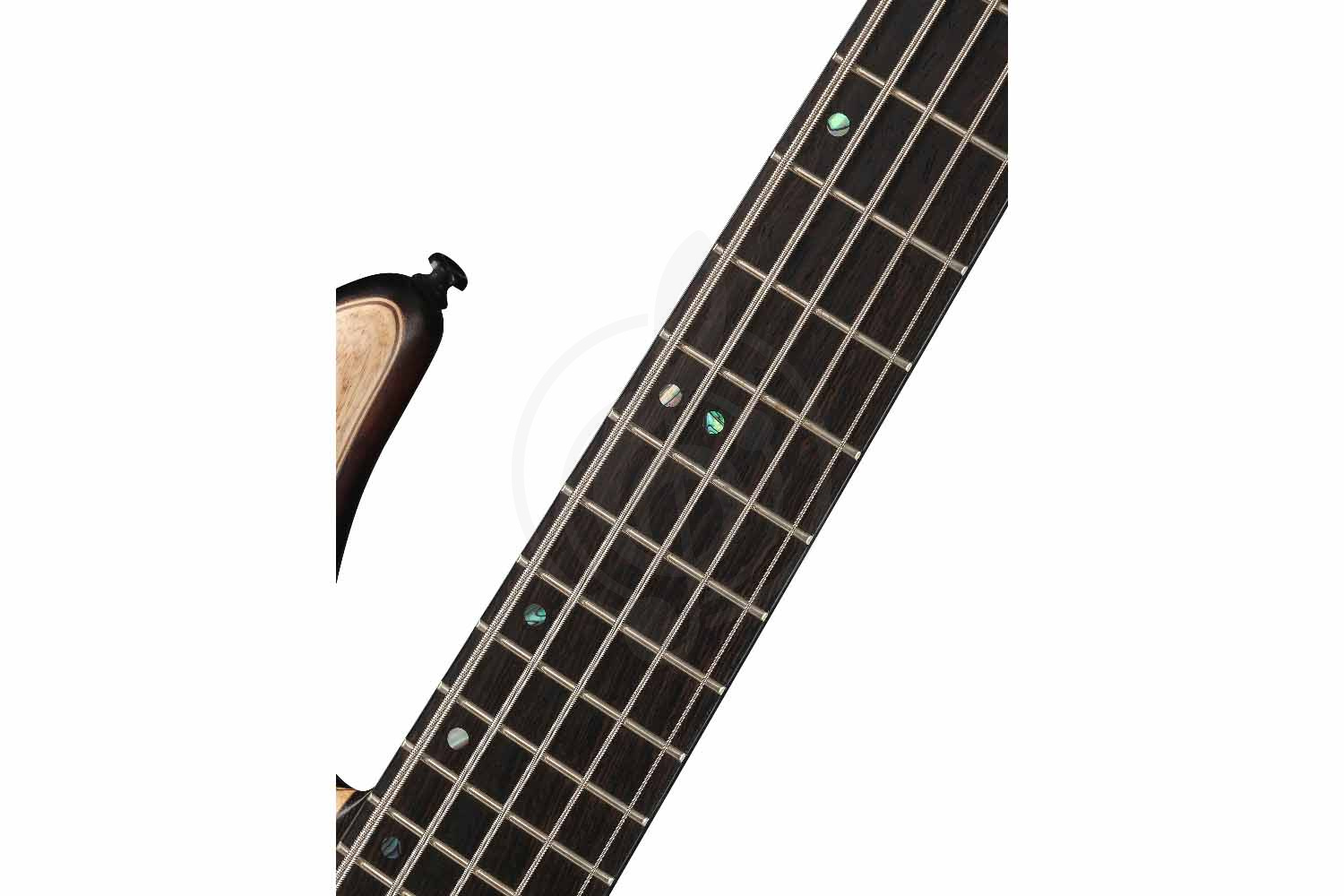 Бас-гитара Cort A5-Ultra-Ash-WCASE-ENB Artisan Series - Бас-гитара - фото 8