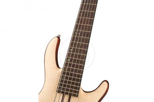 Бас-гитара Cort A6-Plus-FMMH-OPN Artisan Series - Бас-гитара - фото 10