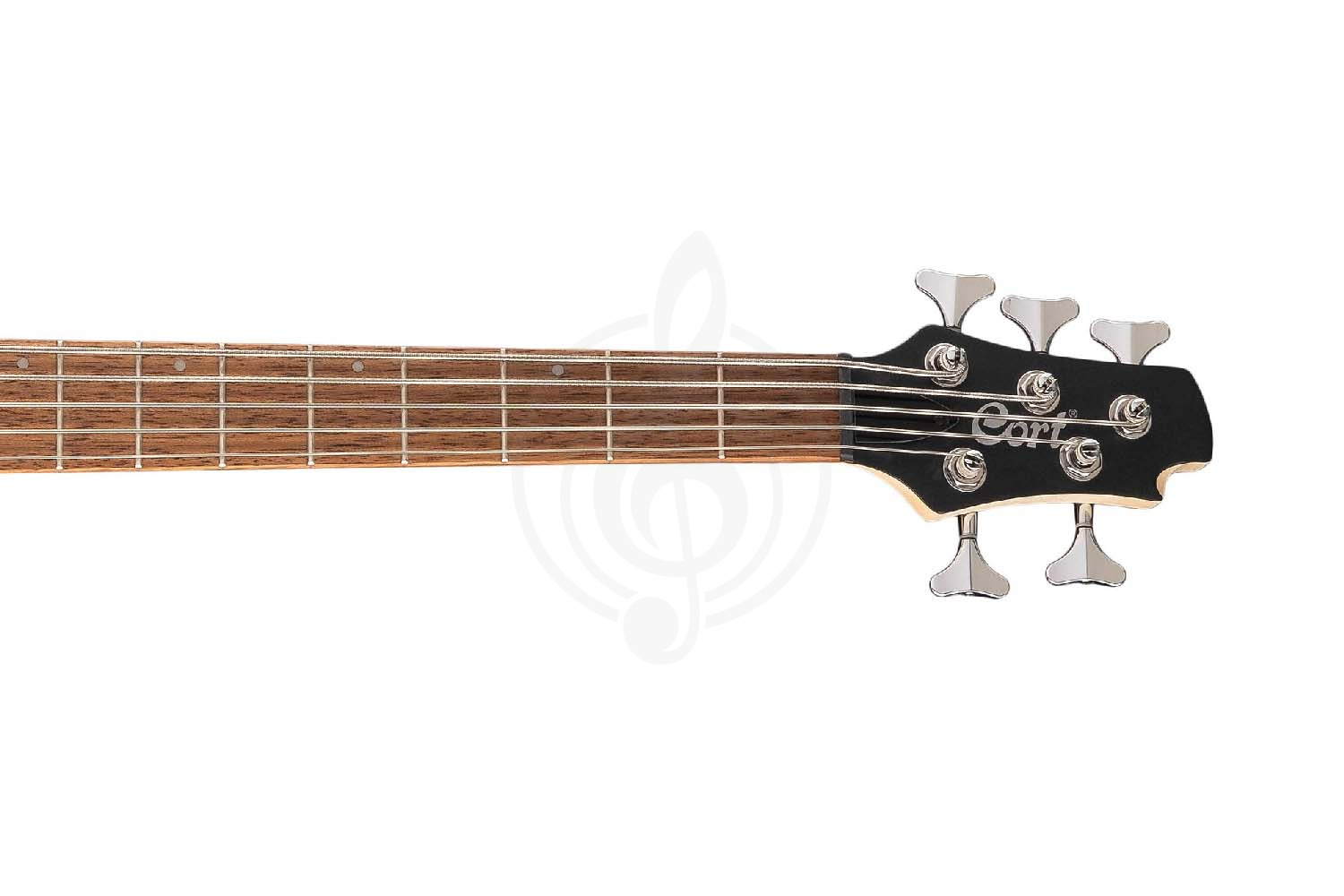 Бас-гитара Cort Action-Bass-V-Plus-BK Бас-гитара 5-ти струнная, черная - фото 4