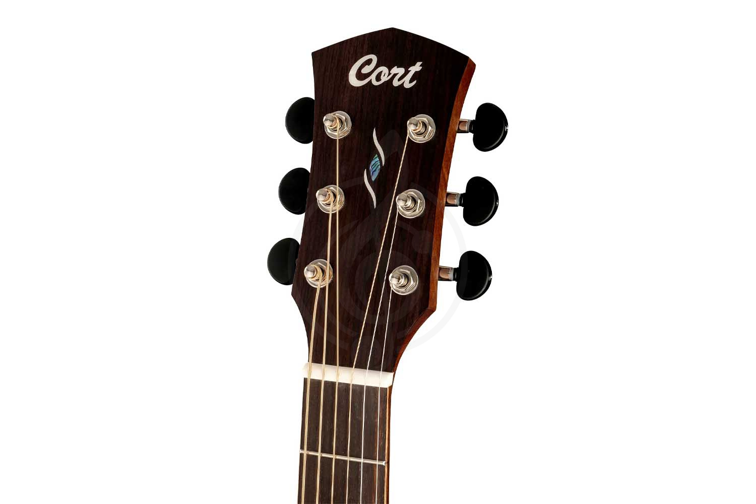 Электроакустическая гитара Cort Core-OC-ABW-WCASE-OPLB Core Series - Электроакустическая гитара - фото 4