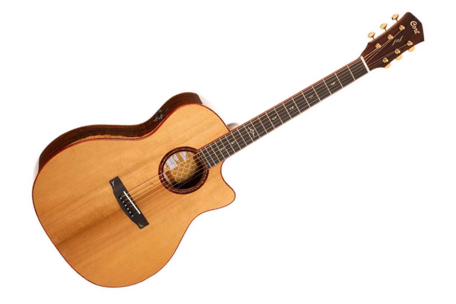 Электроакустическая гитара Cort Gold-A10-Cocobolo-WCASE-NAT Gold Series - Электроакустическая гитара - фото 1