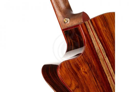 Электроакустическая гитара Cort Gold-A10-Cocobolo-WCASE-NAT Gold Series - Электроакустическая гитара - фото 10