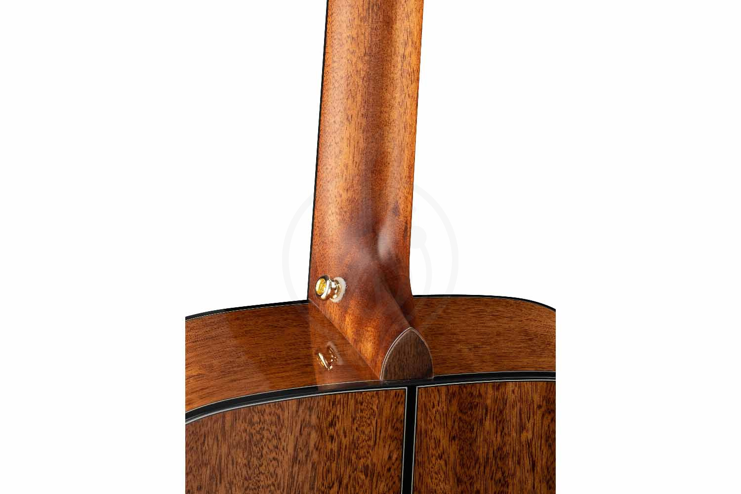 Акустическая гитара Cort GOLD-D6-WCASE-NAT Gold Series - Акустическая гитара - фото 10