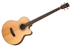 Изображение Акустическая бас-гитара Cort SJB5F-NS-WBAG