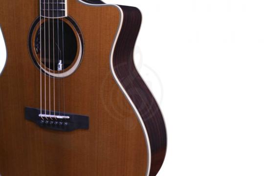 Электроакустическая гитара CRAFTER MIND W PRESTIGE ROSE Gce VVS - Гитара электроакустическая - фото 5