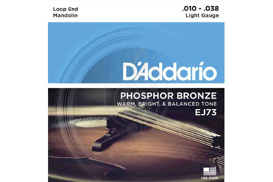 Струны для мандолины D'Addario EJ73 - Комплект струн для мандолины - фото 1