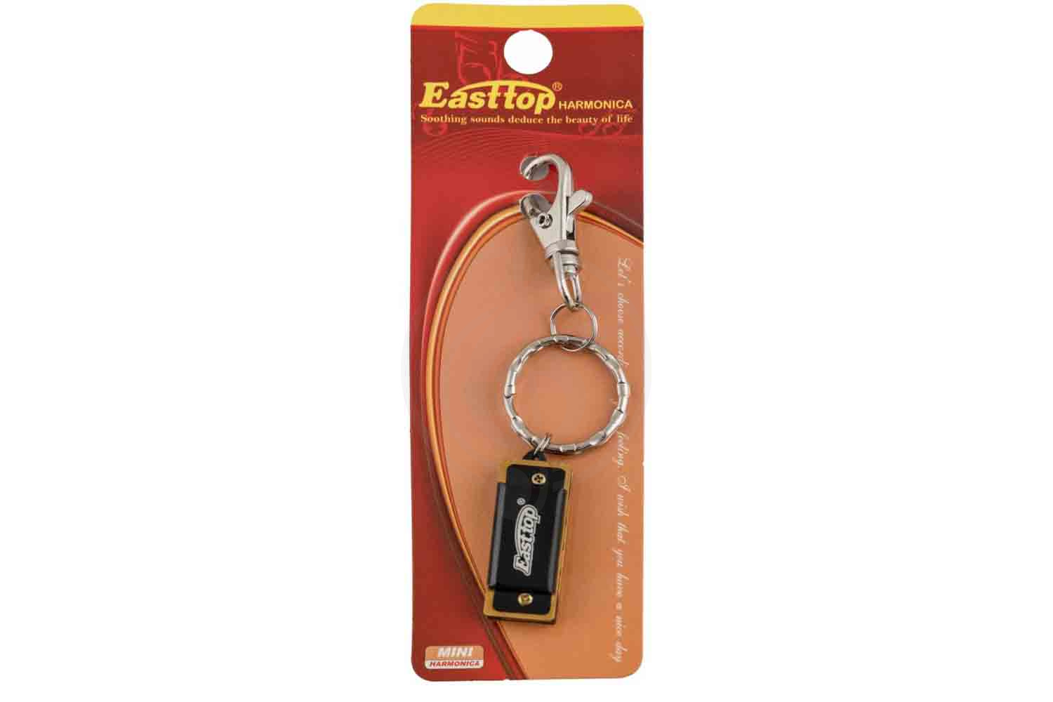 Детская губная гармошка EASTTOP DF4S BLACK - Уменьшенная гармошка - фото 3