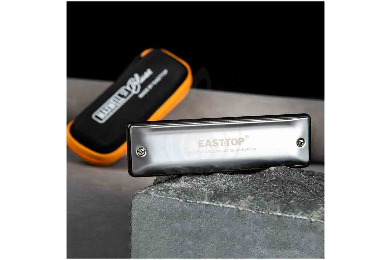 Диатоническая губная гармошка EASTTOP MS030 A (Maxwell ST) - Диатоническая губная гармошка - фото 6
