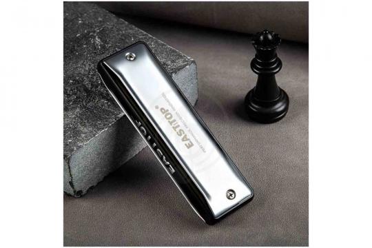 Диатоническая губная гармошка EASTTOP MS030 Bb (Maxwell ST) - Диатоническая губная гармошка - фото 6