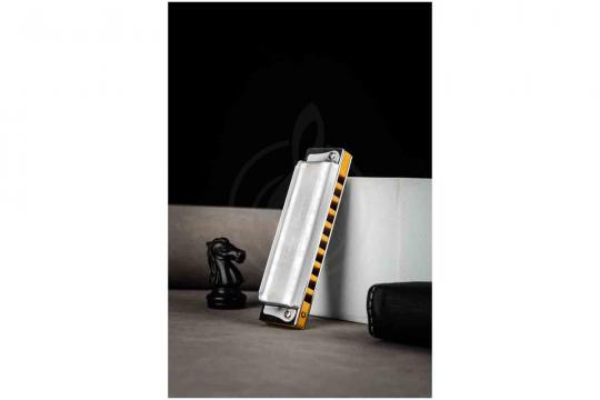 Диатоническая губная гармошка EASTTOP PR020 2.0 Bb - Диатоническая губная гармошка - фото 10