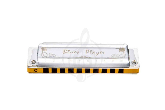 Диатоническая губная гармошка EASTTOP PR020 2.0 G - Диатоническая губная гармошка - фото 1