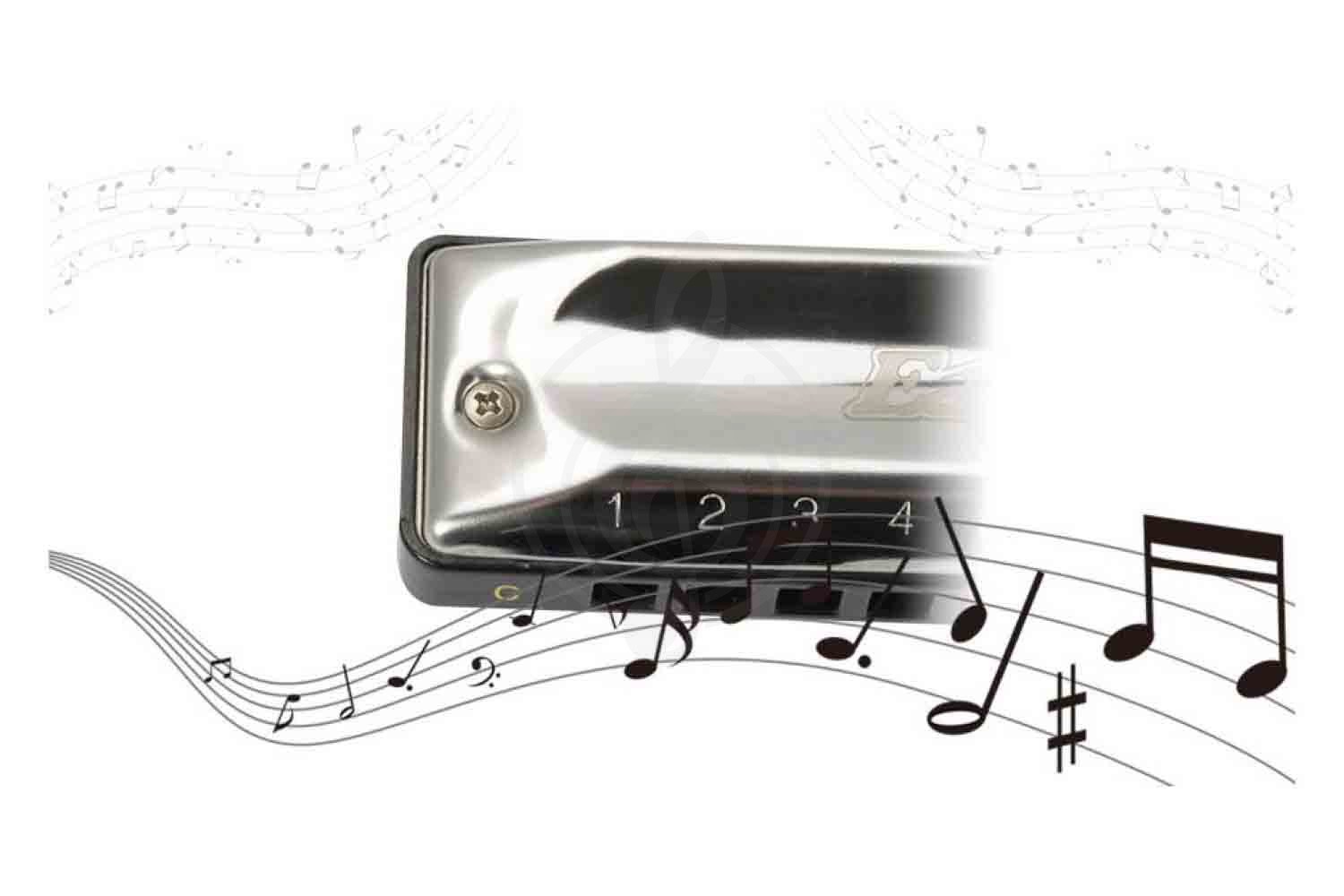 Диатоническая губная гармошка EASTTOP T002 B - Диатоническая губная гармошка - фото 3