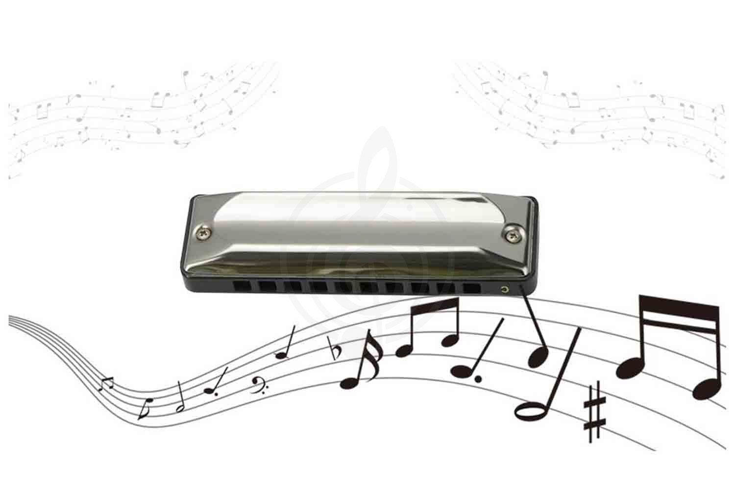 Диатоническая губная гармошка EASTTOP T002 F - Диатоническая губная гармошка - фото 2