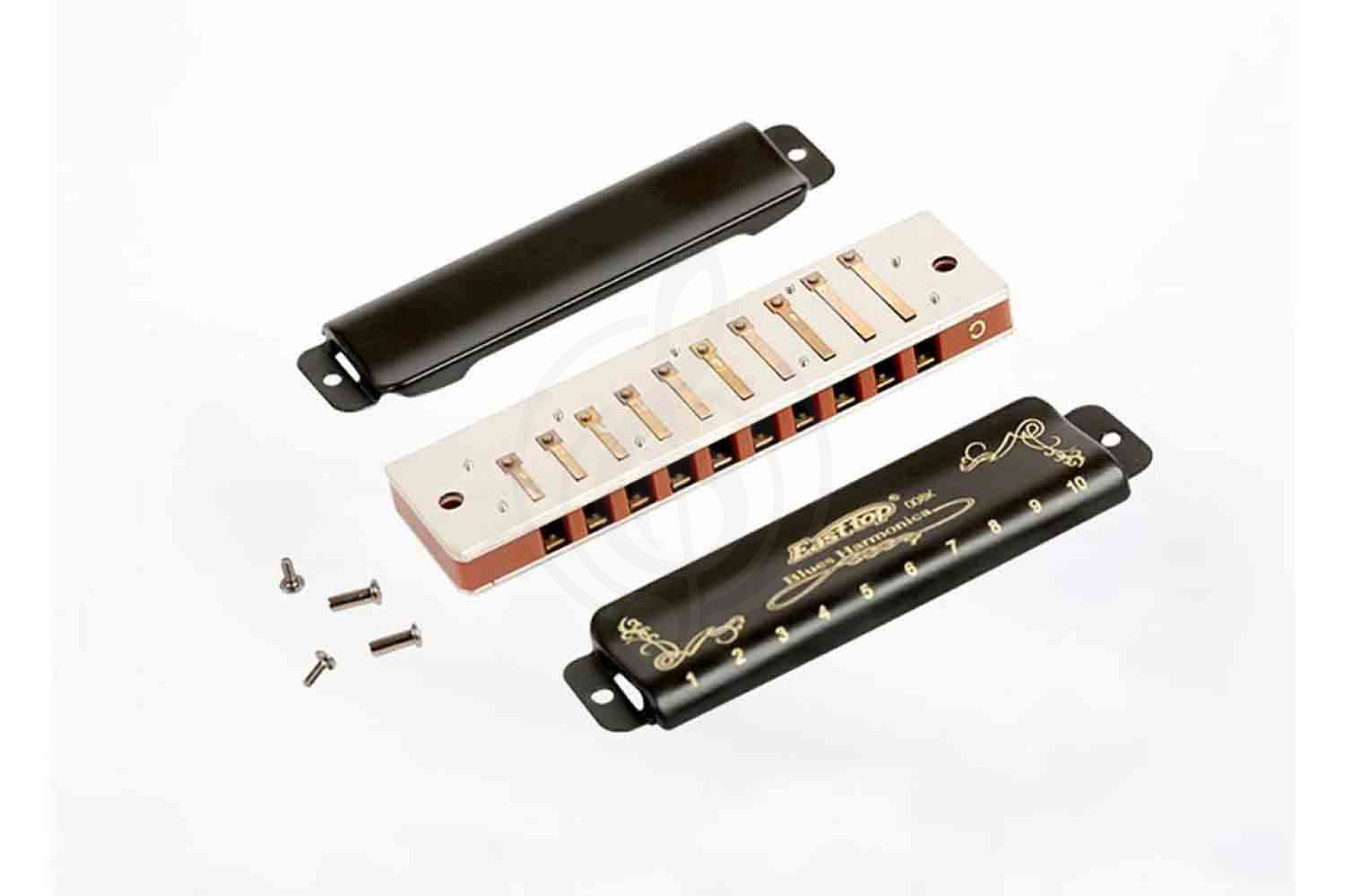 Диатоническая губная гармошка EASTTOP T008K A Nm - Диатоническая губная гармошка - фото 2