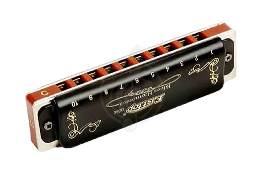 Диатоническая губная гармошка EASTTOP T008K B - Диатоническая губная гармошка - фото 1