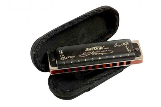 Диатоническая губная гармошка EASTTOP T008K Paddy C - Диатоническая губная гармошка - фото 5