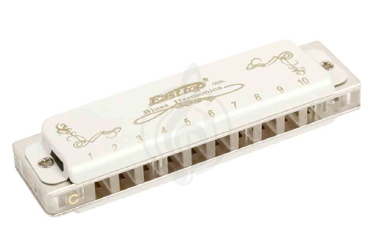 Диатоническая губная гармошка EASTTOP T008L F - Диатоническая губная гармошка - фото 1