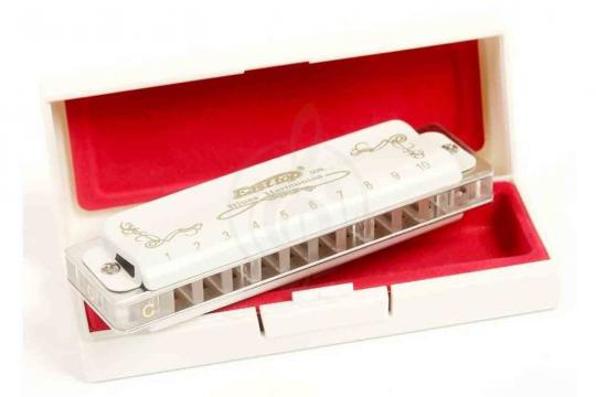 Диатоническая губная гармошка EASTTOP T008L G - Диатоническая губная гармошка - фото 5
