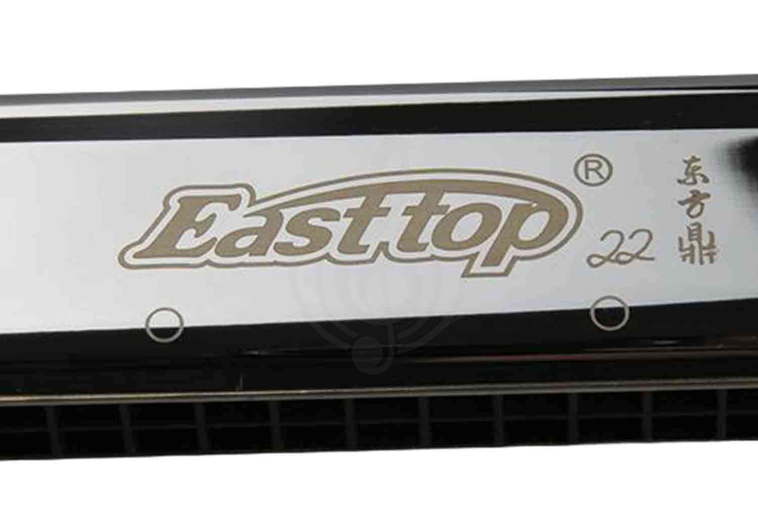 Тремоло губные гармошки EASTTOP T22 - Гармошка губная тремоло - фото 4