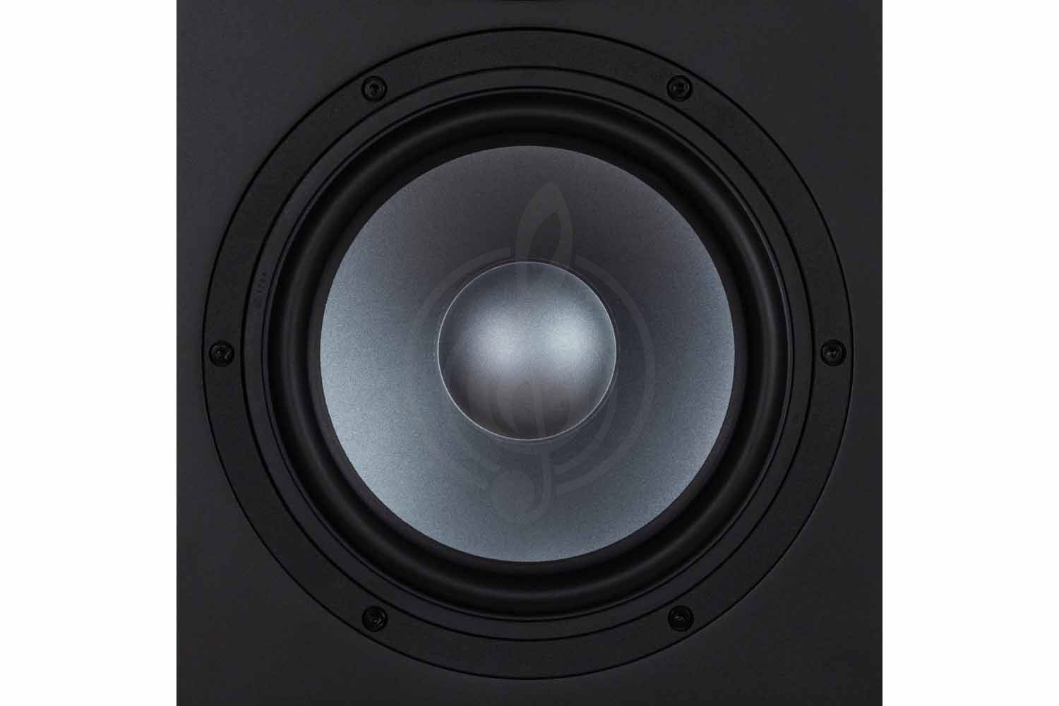 Студийный монитор EVE Audio EXO-28 - Студийный монитор - фото 4