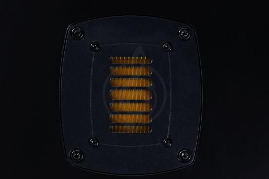 Студийный монитор EVE Audio SC2070 - Студийный монитор, активный, 250Вт - фото 5