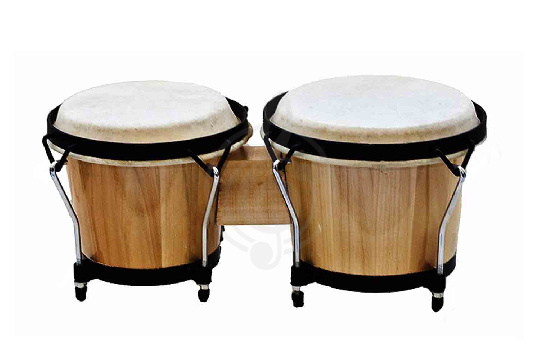 Бонго Fleet FLT-105 - Бонги - фото