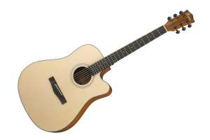 Изображение Акустическая гитара Foix FFG-4150С