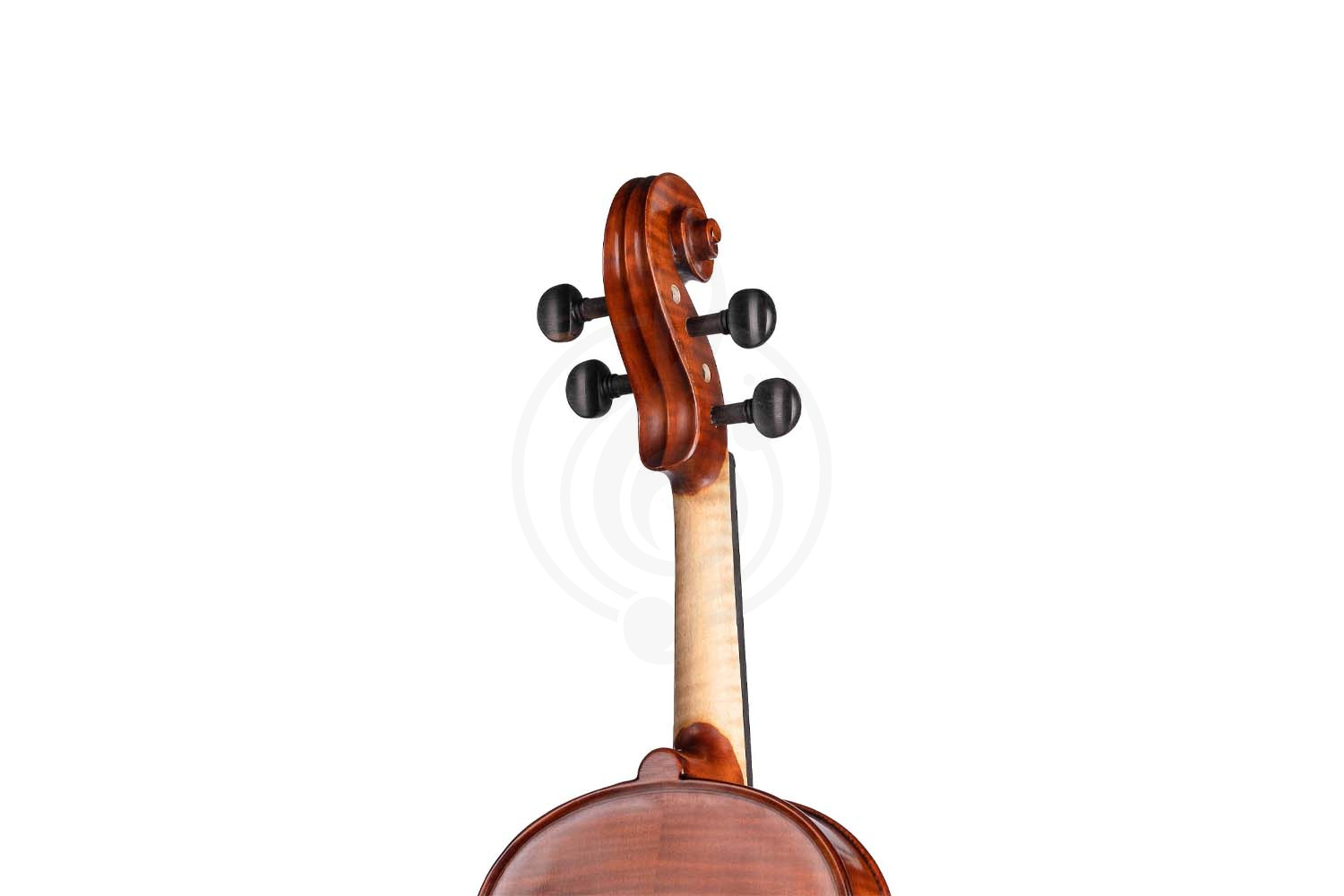 Скрипка 4/4 Gliga AW-V044-O Workshop Gems 1 OPB - Скрипка 4/4 - фото 2