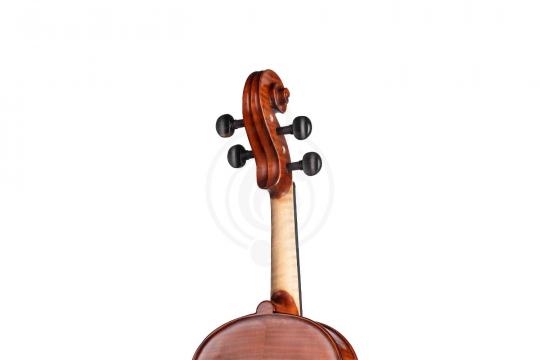 Скрипка 4/4 Gliga AW-V044-O Workshop Gems 1 OPB - Скрипка 4/4 - фото 2